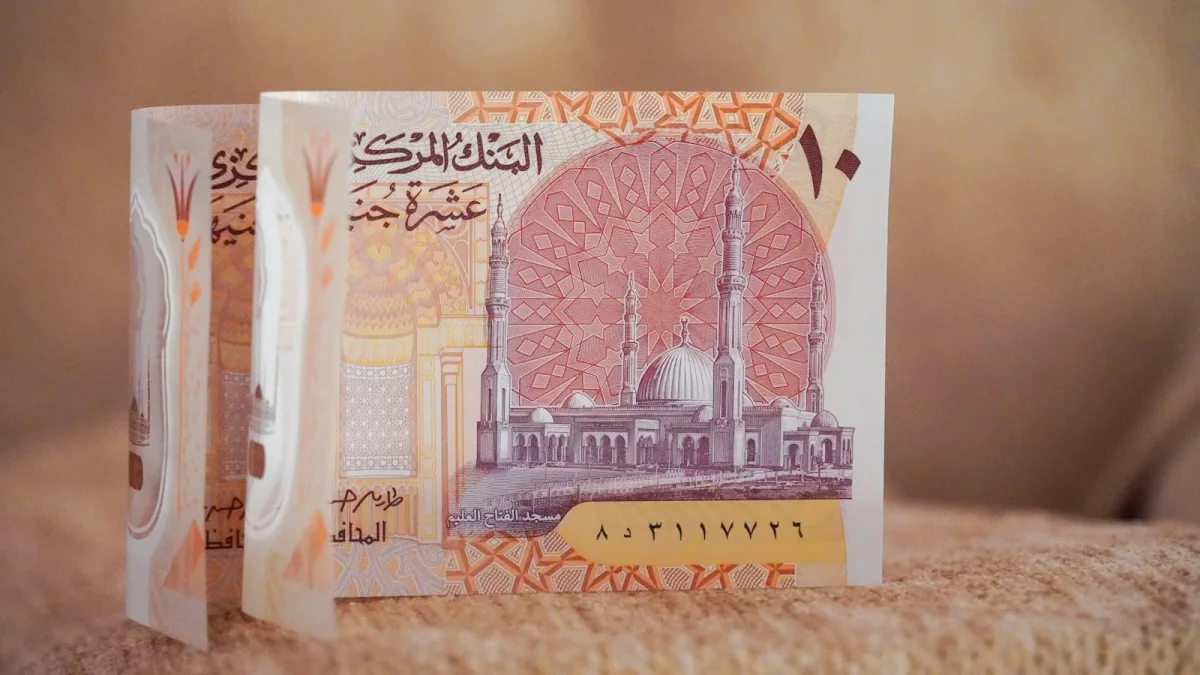 لماذا تراجع الجنيه المصري إلى مستوى قياسي؟