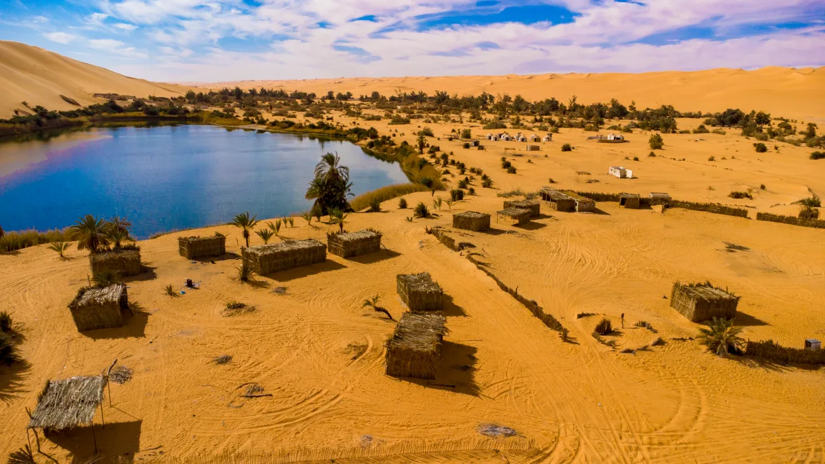الجزائر تصوّت على إرسال وحدات عسكرية إلى النيجر