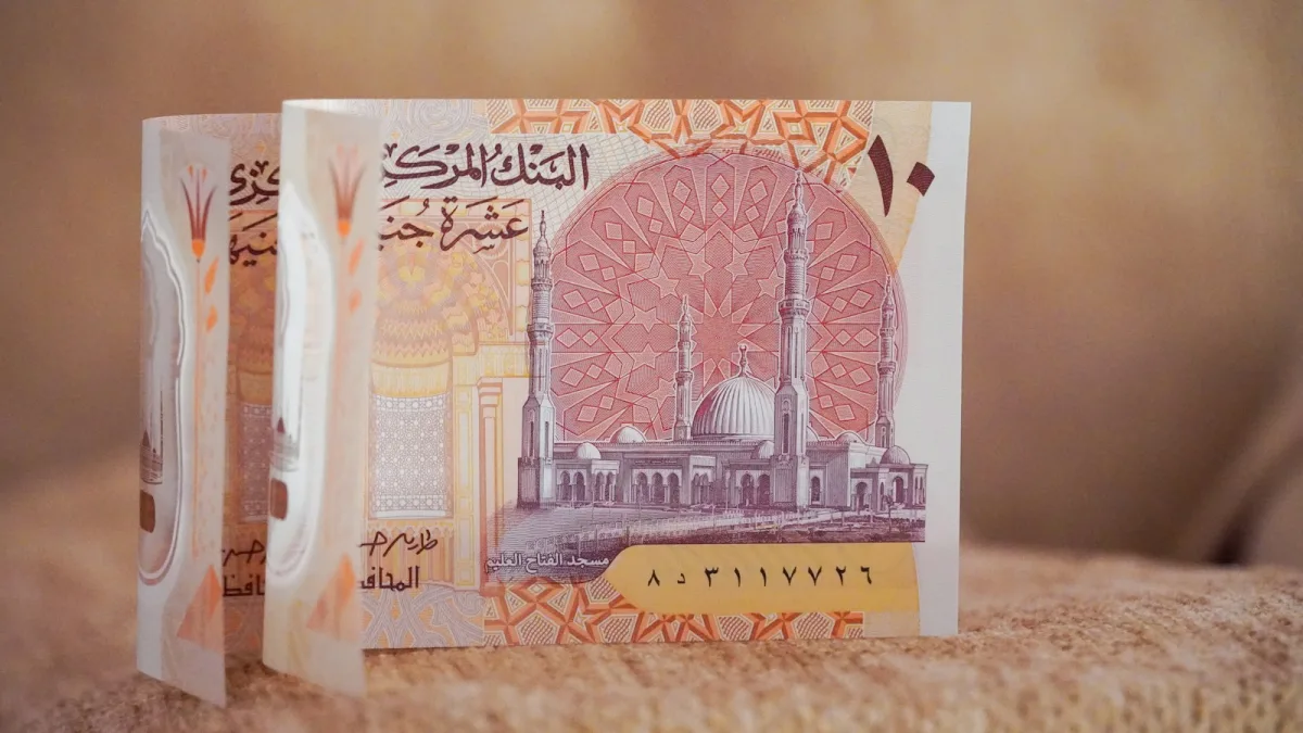 الجنيه المصري يسجل مستوى قياسياً متدنياً عند 56 للدولار